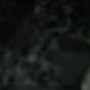 Meet your Posher, Sfhedvedd